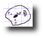 scri